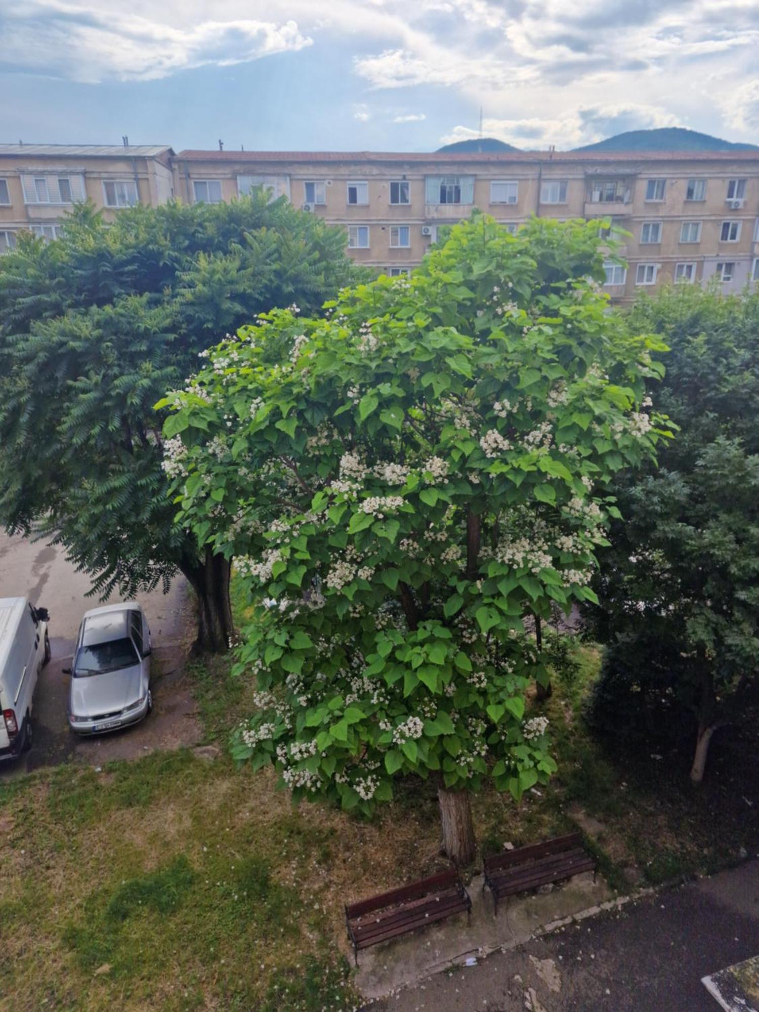 Apartament Central Deva Apartment Luaran gambar
